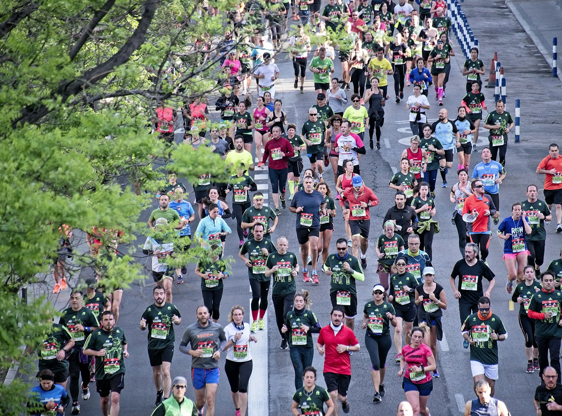 Runners competing in the City to Surf fun run